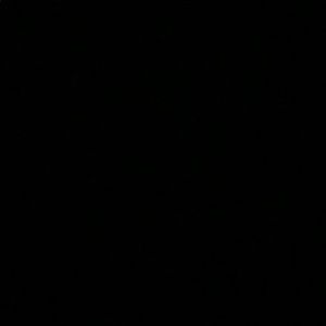 Meet your Posher, Xavier